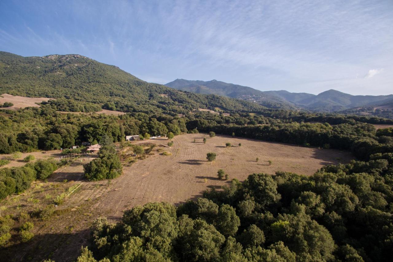 Вилла Domaine Finili Cauro Экстерьер фото