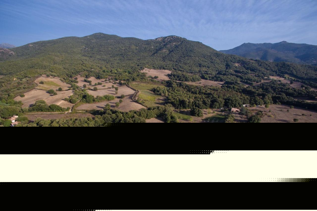 Вилла Domaine Finili Cauro Экстерьер фото